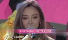 马云李小璐爆料完整视频,揭秘背后惊人真相